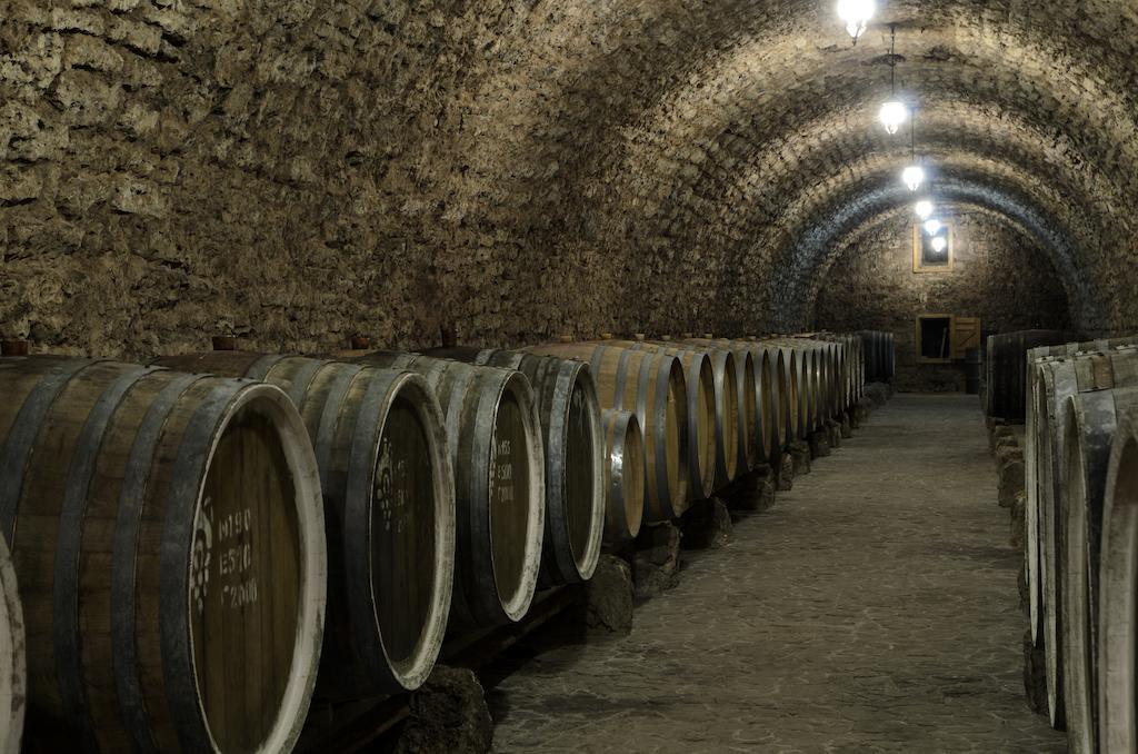 Hotel Prince Trubetskoi Winery Nowa Kachowka Exterior foto